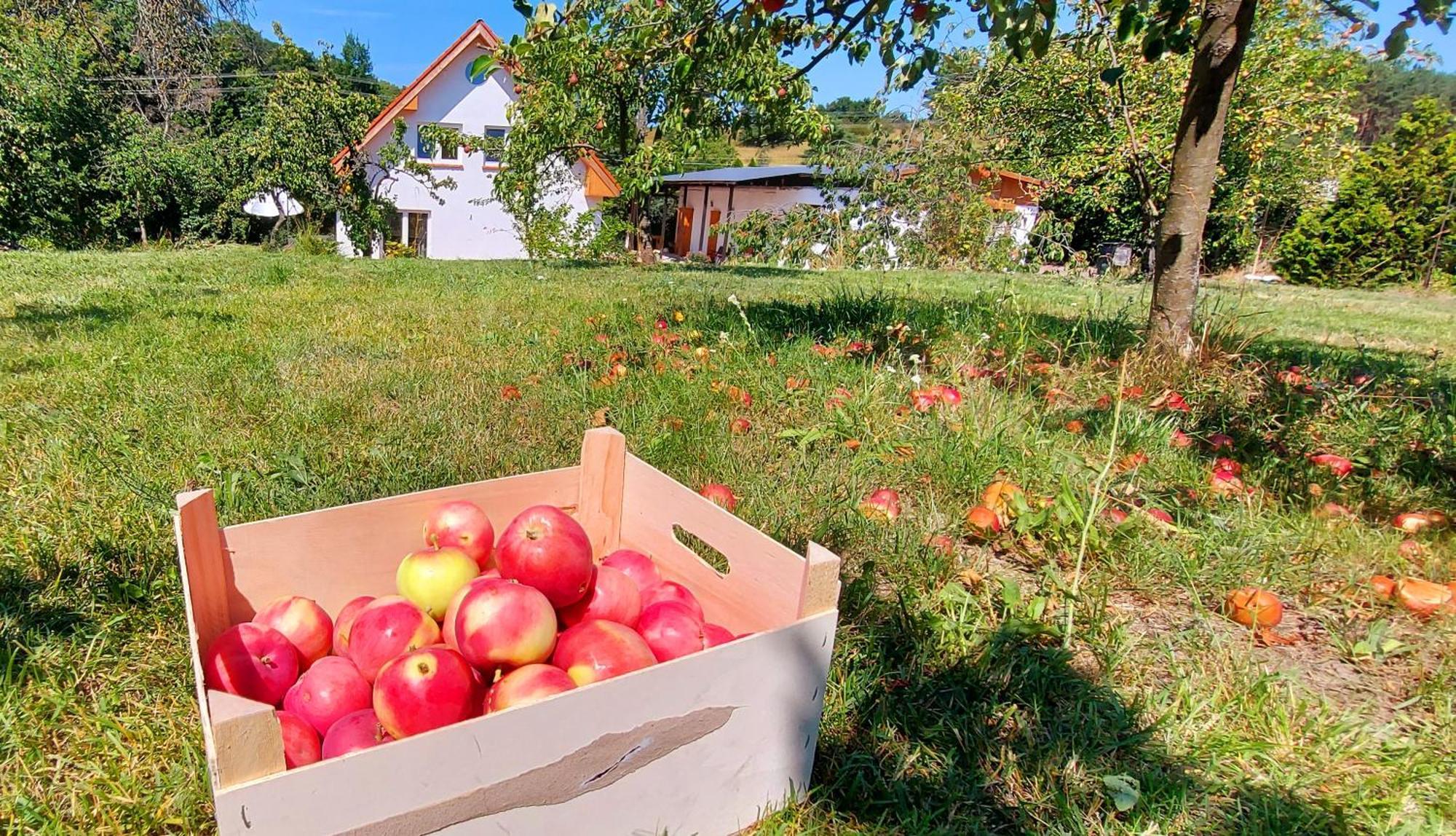 Dobre Miejsce Villa Miedzyzdroje Dış mekan fotoğraf